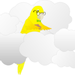 image of dickimaw parrot with cookies in clouds