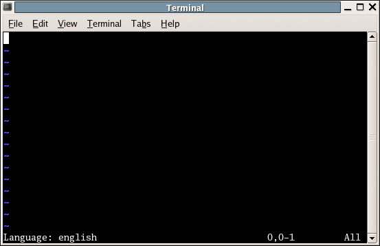 Image of a terminal with vim running
