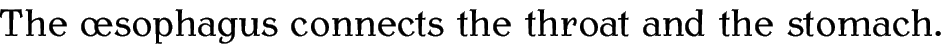 The oesophagus connects the throat and the stomach.